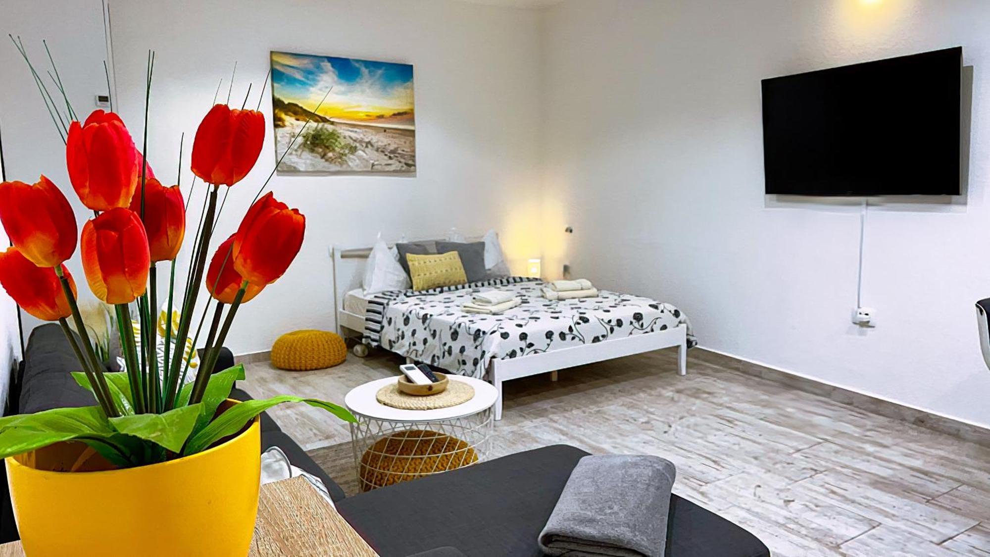 Studio De Mare Rovinj Extérieur photo
